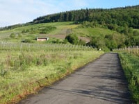 Viehbach von Kröv