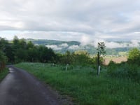 Viehbach von Kröv