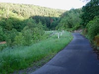 Viehbach von Kröv