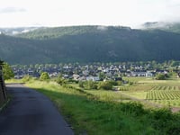 Viehbach von Kröv