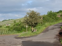 Viehbach von Kröv