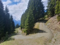 Viehlehen da Mittersill via Alte Pass Strasse