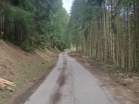 Viehlehen da Mittersill via Alte Pass Strasse