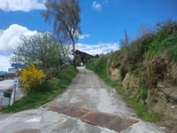 Viehlehen da Mittersill via Alte Pass Strasse