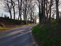 Viehsteege von Alte Heerstrasse