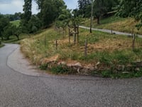 Vieille Route z Vevey przez Chemin du Châtelard