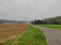 Vierenberg von Schötmar über Mergelweg