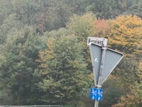 Vierenberg von Schötmar über Mergelweg