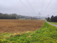 Vierenberg von Schötmar über Mergelweg