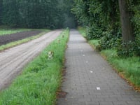 Vierwindenlaan