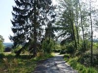 Vieux Passay über Winamplanche