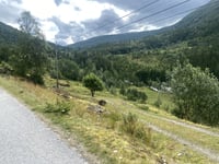 Vigdalen von Husøy