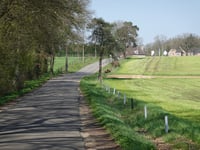 Vijverstraat