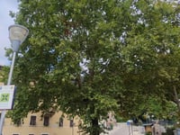 Villamontagna via Via dei Giardini