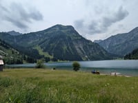 Vilsalpe