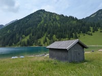 Vilsalpe