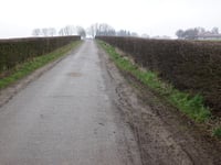 Vink von Wijnandsrade