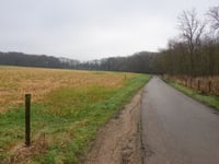 Vink von Wijnandsrade