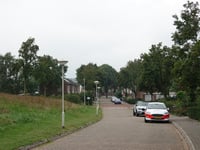 Vinkenslag from Berglaan