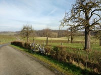 Raar über Visweg