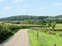 Raar über Visweg
