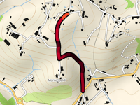 Viuzzo di Monteripaldi da Cascine Del Riccio