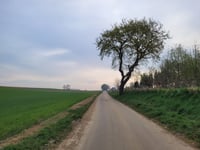 Vloedsgraaf von Oirsbeek