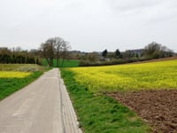 Vloedsgraaf von Oirsbeek