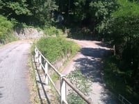 Voga von Gordona