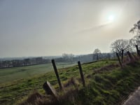 Vogelsang / Liesenberg