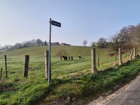 Vogelsang / Liesenberg