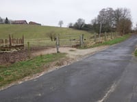 Vogelsang / Liesenberg