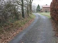 Vogelsang / Liesenberg