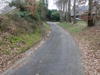 Vogelsang / Liesenberg