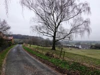 Vogelsang / Liesenberg