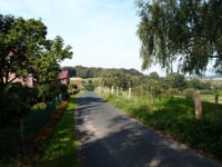 Vogelsang / Liesenberg