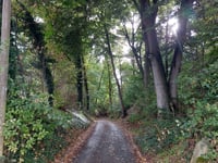 Vogelsang / Hohldörn