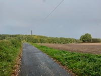 Vogelsang / Hohldörn