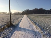 Vogelsang / Hohldörn