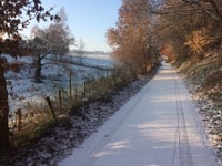 Vogelsang / Hohldörn