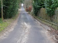 Vogelsang / Hohldörn