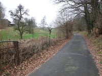 Vogelsang / Hohldörn