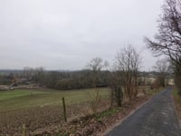 Vogelsang / Hohldörn