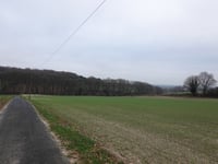 Vogelsang / Hohldörn