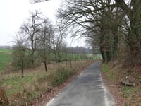 Vogelsang / Hohldörn