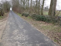 Vogelsang / Hohldörn