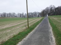 Vogelsang / Hohldörn