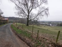 Vogelsang / Hohldörn