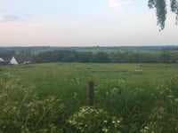 Vogelsang / Hohldörn