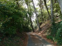 Vogelsang / Hohldörn
